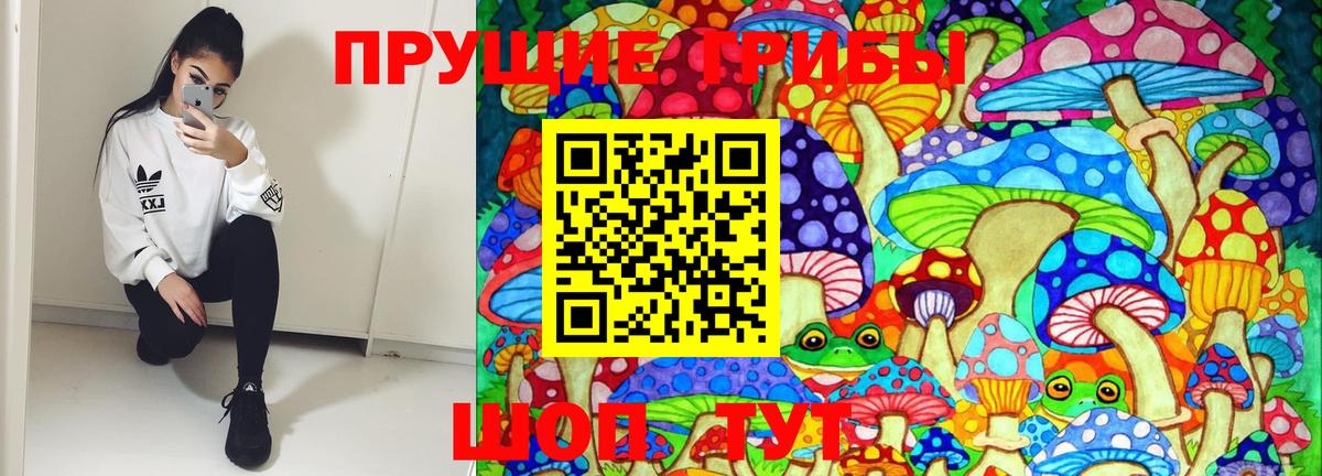 Галлюциногенные грибы прущие грибы  Вход с VPN  Алексин 