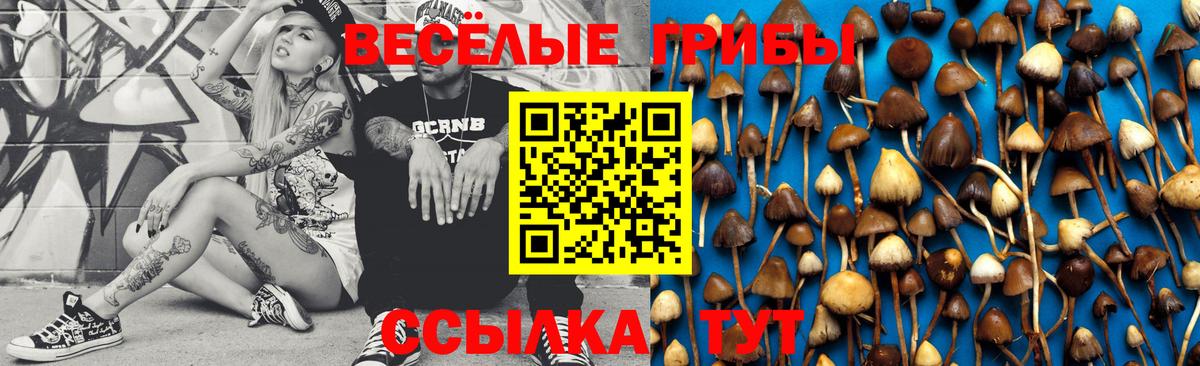 Галлюциногенные грибы Magic Shrooms Алексин